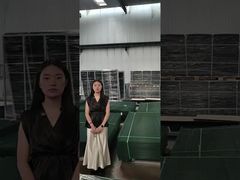 Ограждение с открытым видом Ограждение для защиты от подъема Ограждение для производства поддонов